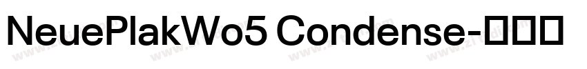 NeuePlakWo5 Condense字体转换